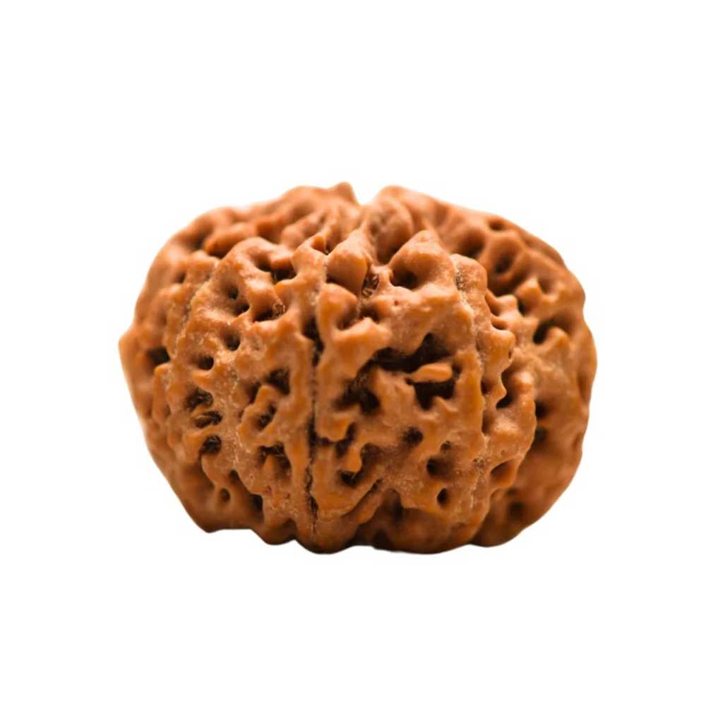 Nirakar Rudraksha
